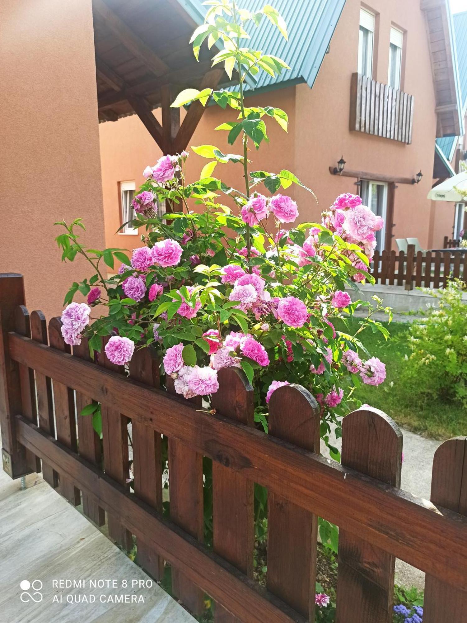 Holiday Home Ivana Kolašin Exterior foto
